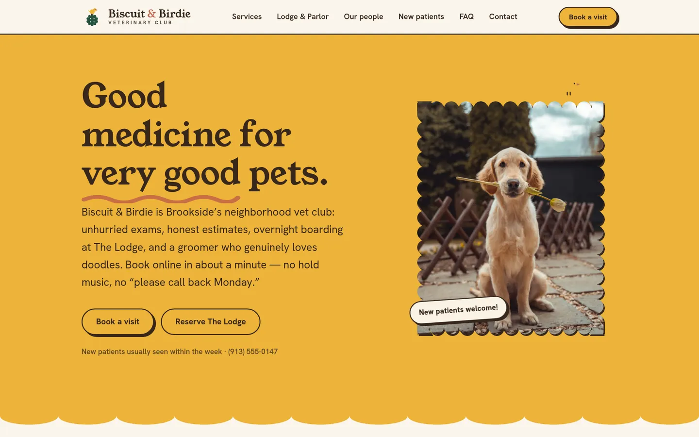 Biscuit & Birdie Vet Club, a veterinary concept site designed and built by Adam Tyrrell
